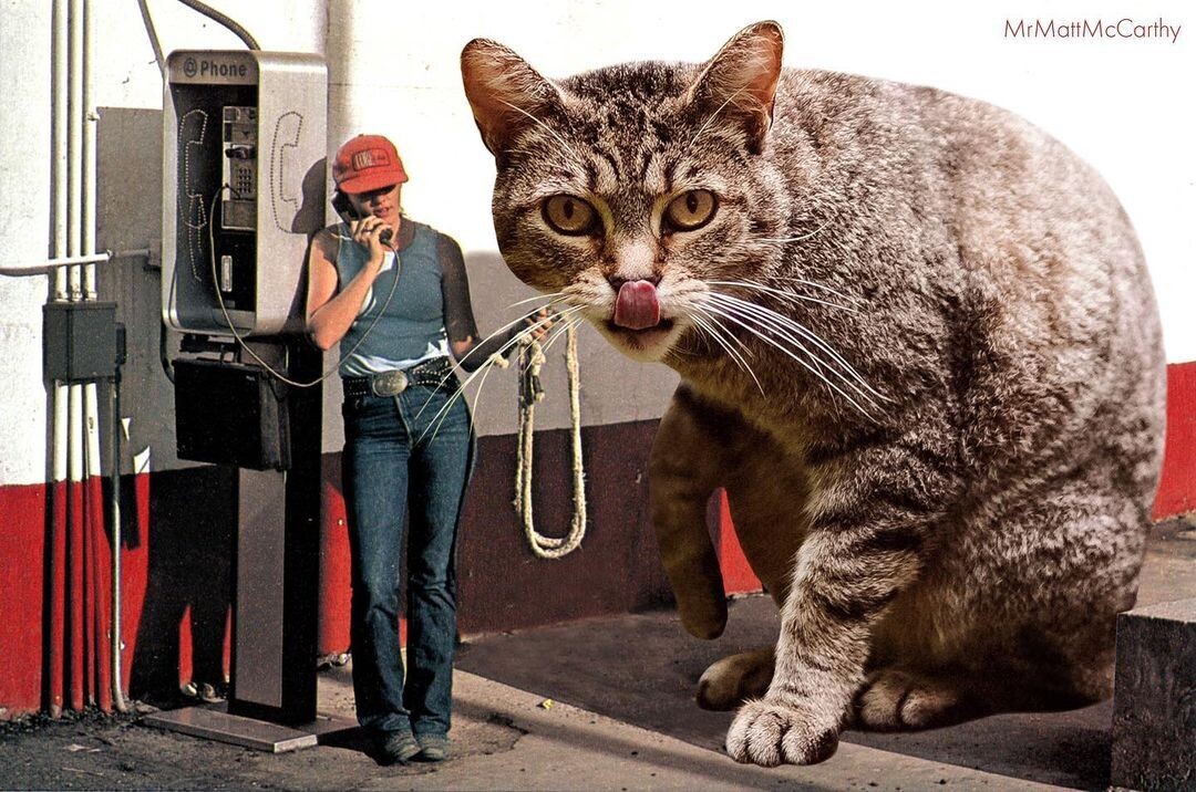 un gato gigante posa sobre una chica que llama por teléfono en una de las antiguas cabinas