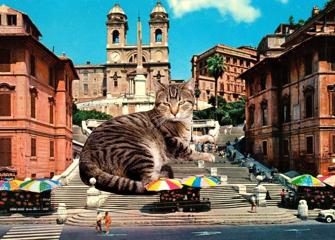 un gato gigante tumbado sobre la escalinata de una ciudad que puede ser Roma
