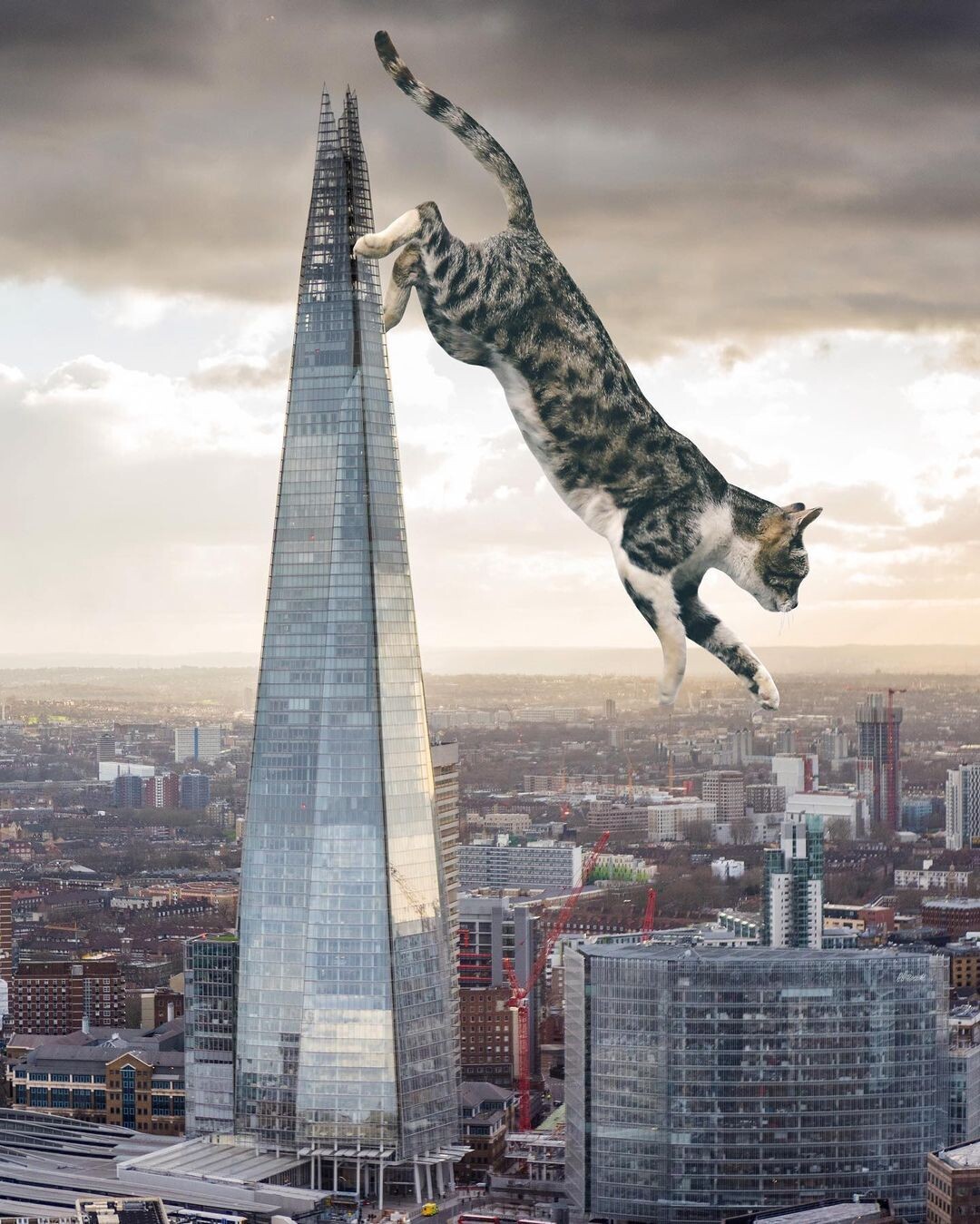 un gato gigante saltando desde un rascacielos