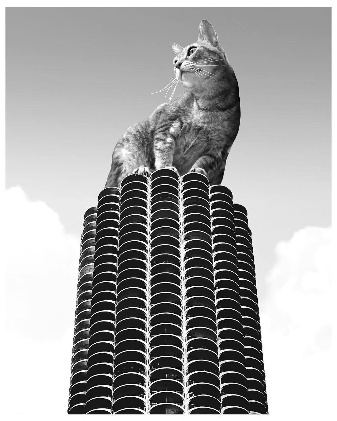 un gato gigante sobre un rascacielos