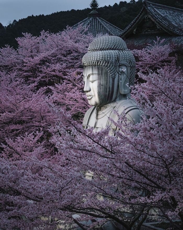 tatsuto shibata asia fotografia.jpg13