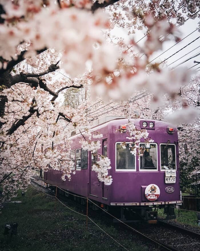 tatsuto shibata asia fotografia.jpg2