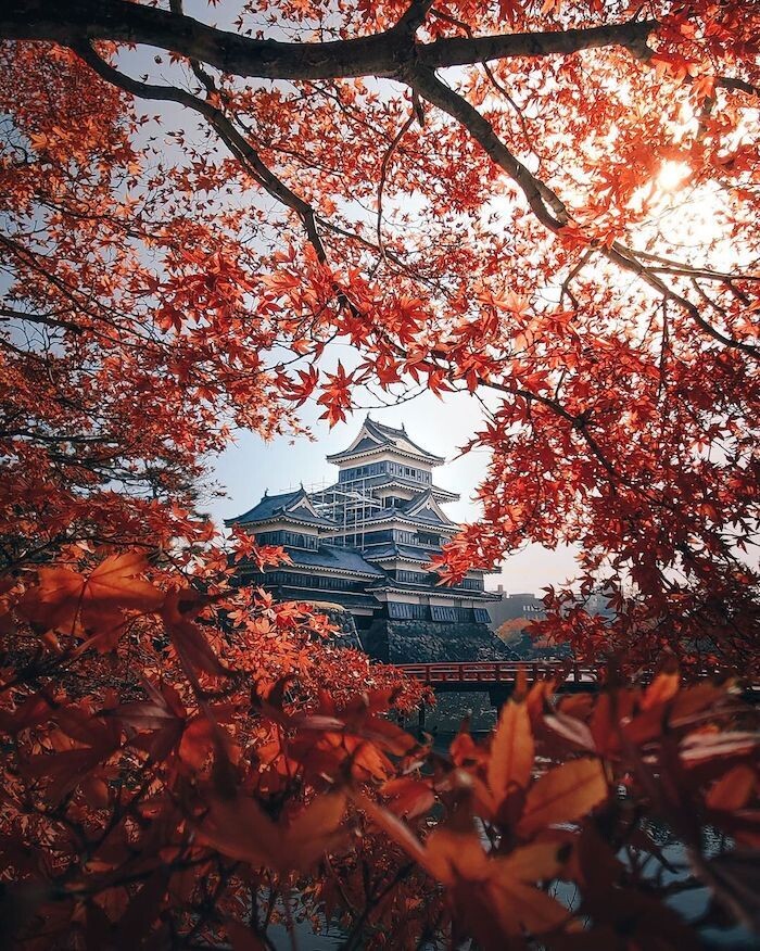 tatsuto shibata asia fotografia.jpg23