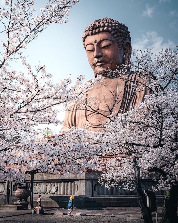 tatsuto shibata asia fotografia.jpg28