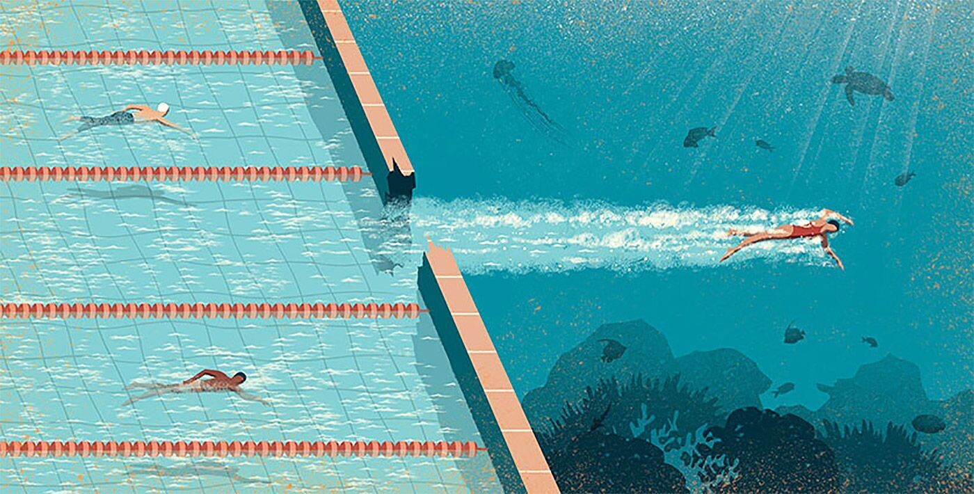 zona de comfort davide bonazzi