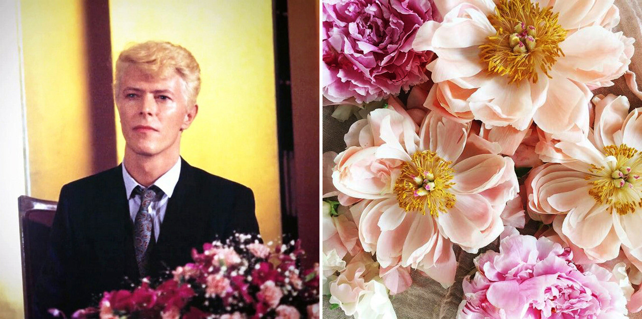 David Bowie and Flowers