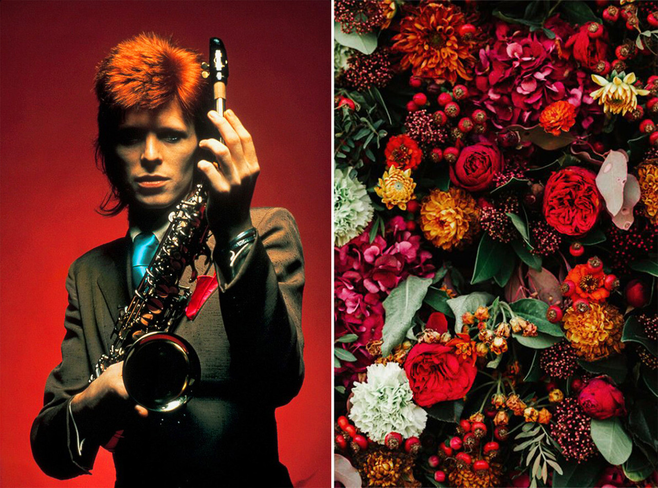 David Bowie and Flowers