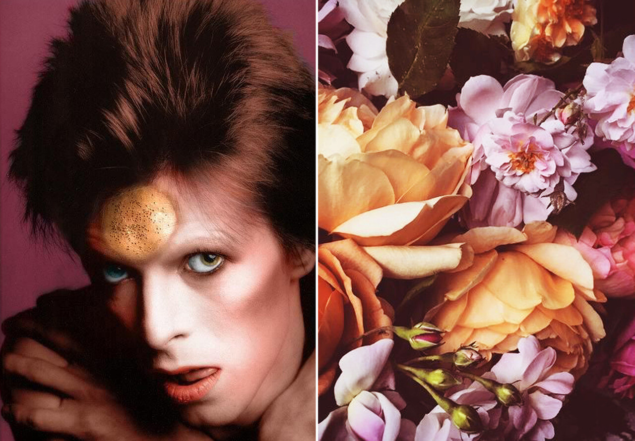 David Bowie and Flowers