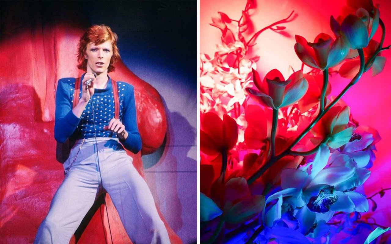 David Bowie and Flowers