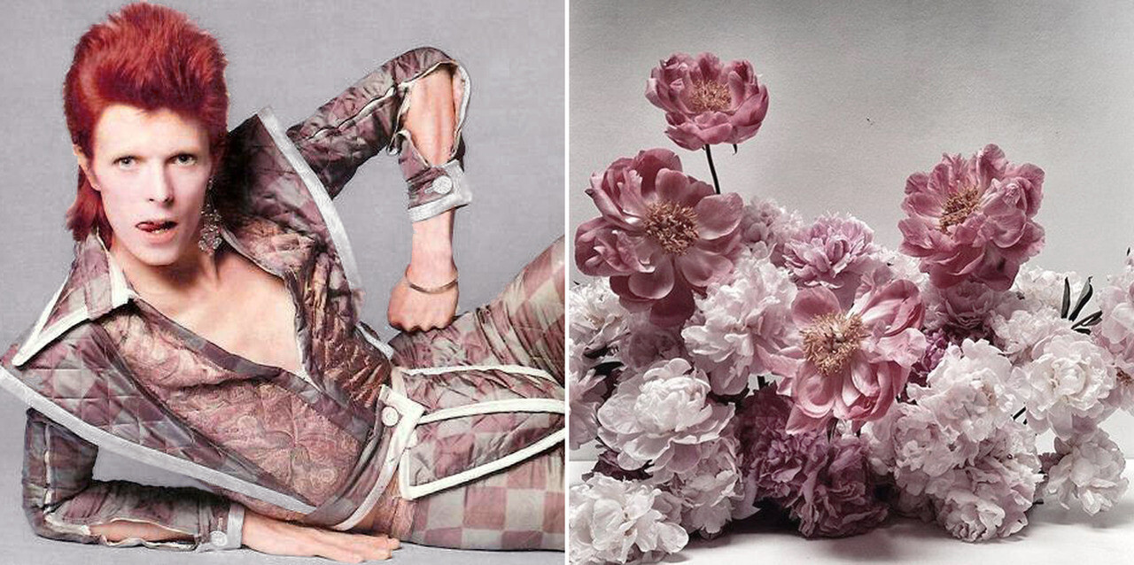 David Bowie and Flowers