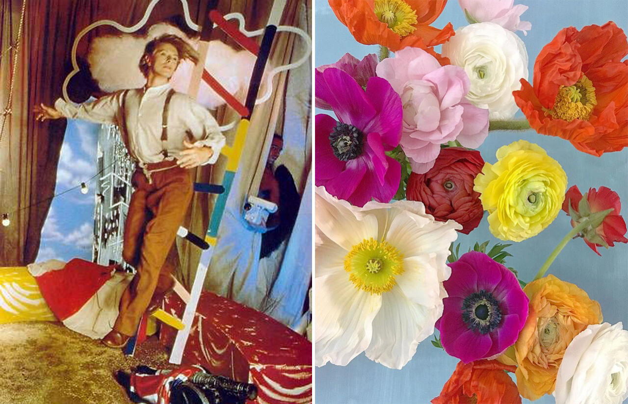 David Bowie and Flowers