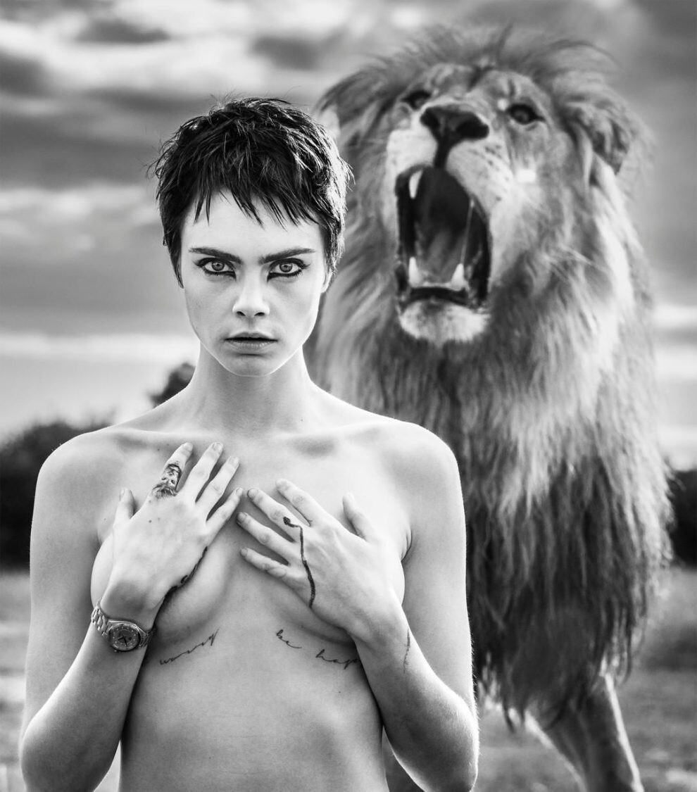 david yarrow fotografia vida silvestre naturaleza moda publicidad 1