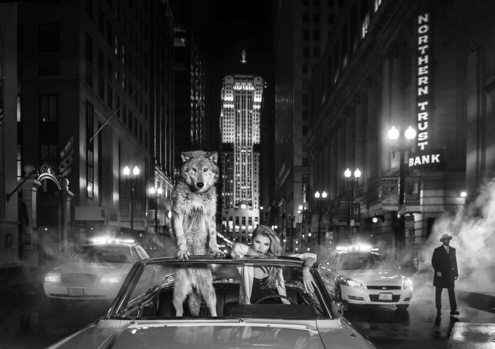 david yarrow fotografia vida silvestre naturaleza moda publicidad 11