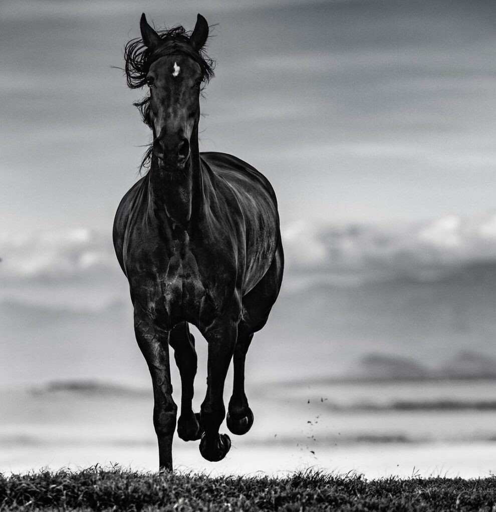 david yarrow fotografia vida silvestre naturaleza moda publicidad 12