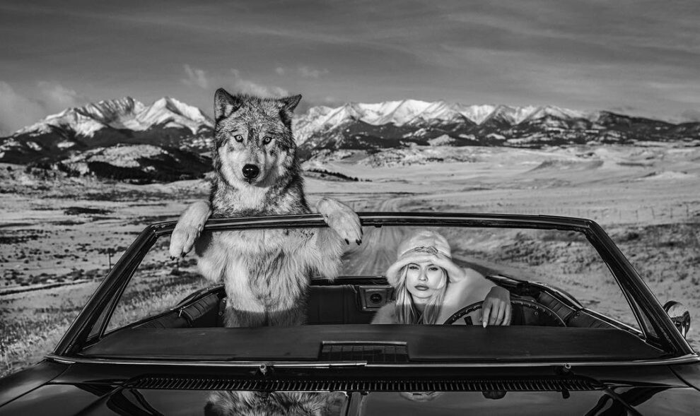 david yarrow fotografia vida silvestre naturaleza moda publicidad 4