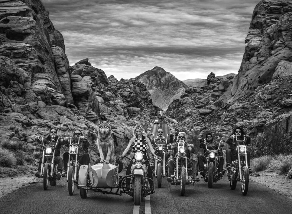 david yarrow fotografia vida silvestre naturaleza moda publicidad 6