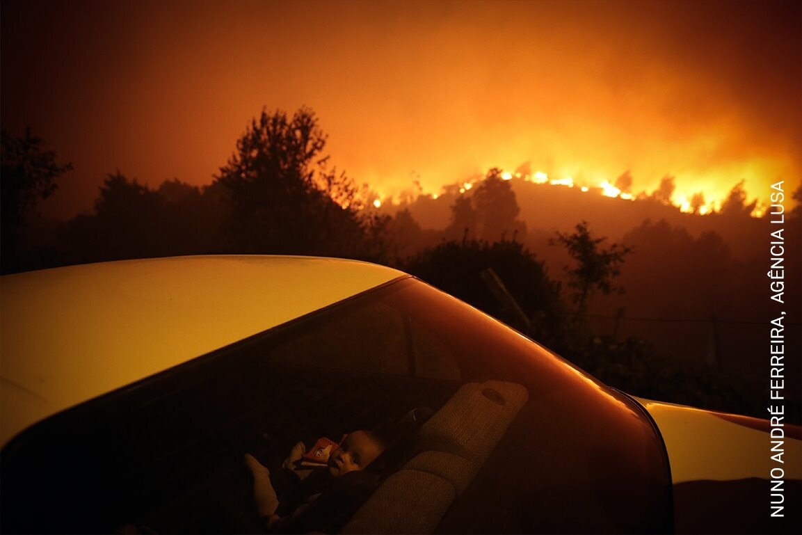 forest fire ac1f1869 1153x769