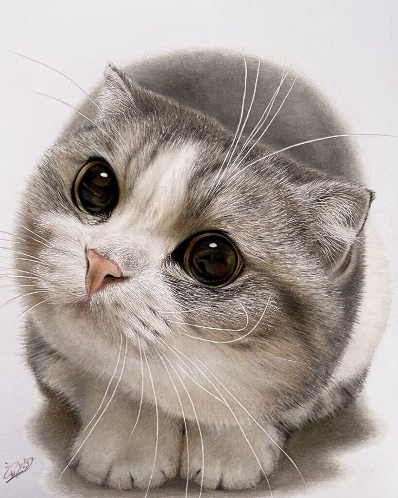 haruki kudo gatos hiperrealismo 1
