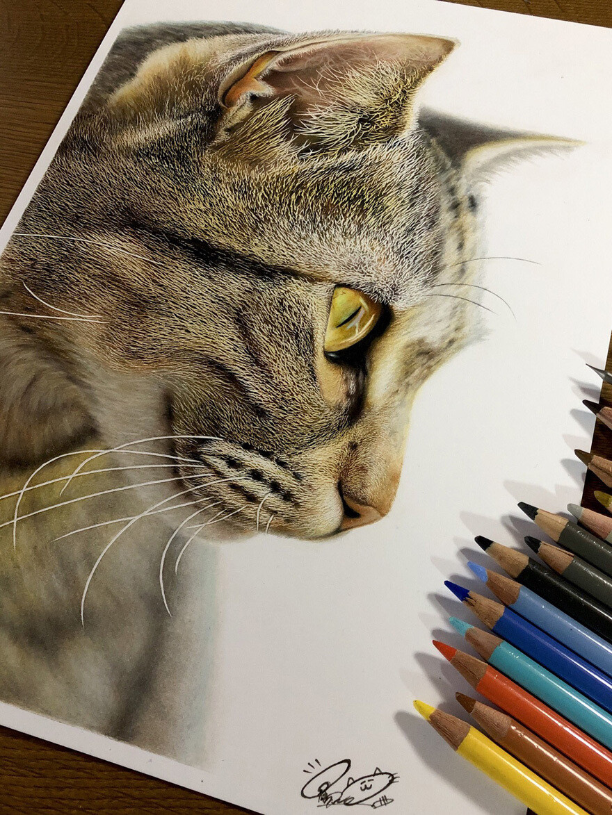 haruki kudo gatos hiperrealismo 10