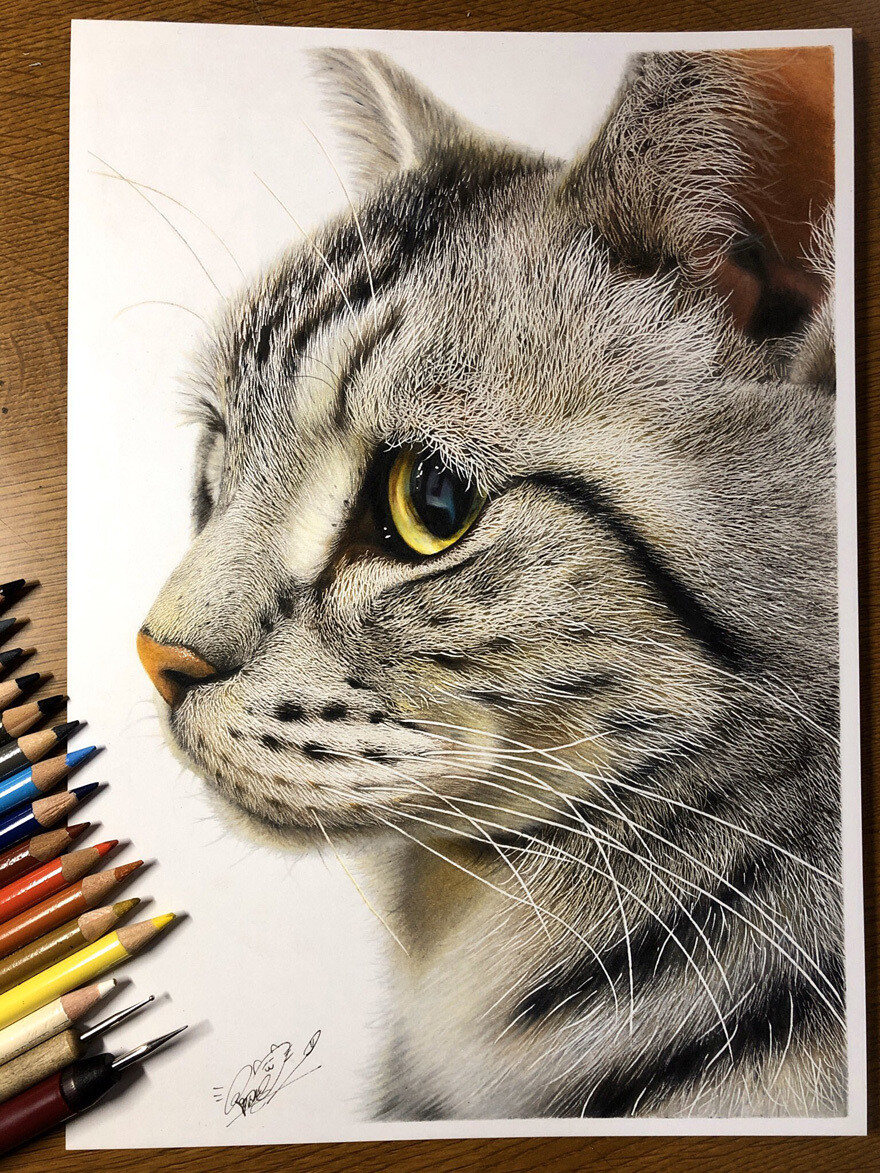 haruki kudo gatos hiperrealismo 11