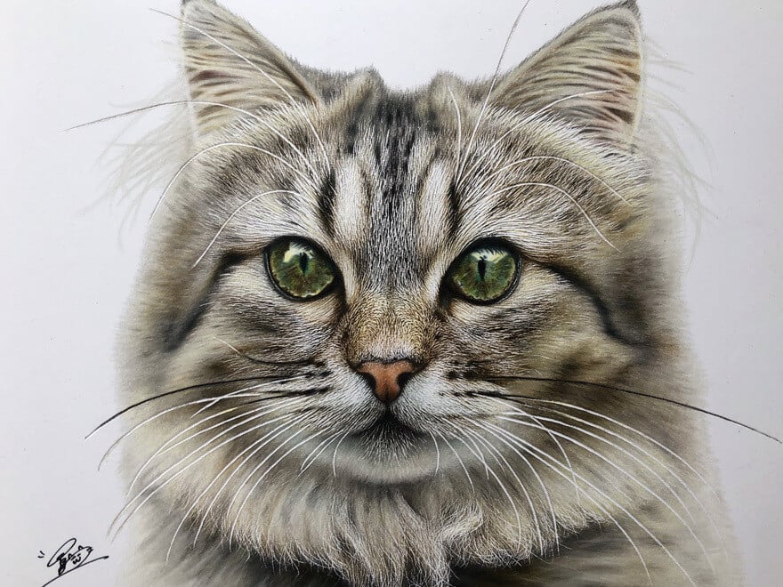 haruki kudo gatos hiperrealismo 2