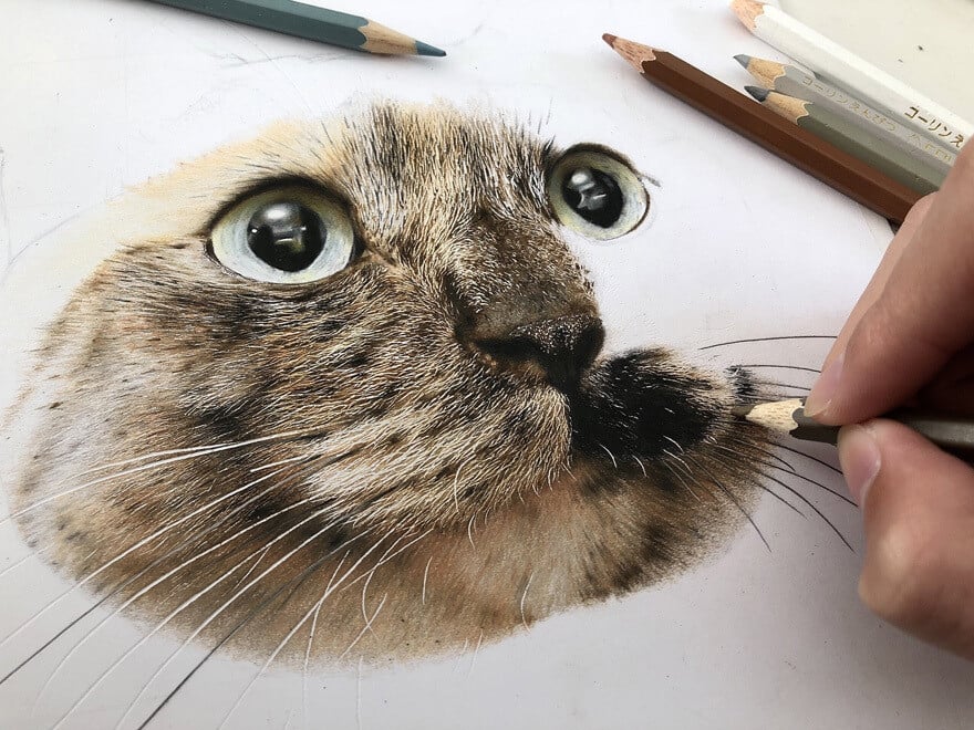 haruki kudo gatos hiperrealismo 4