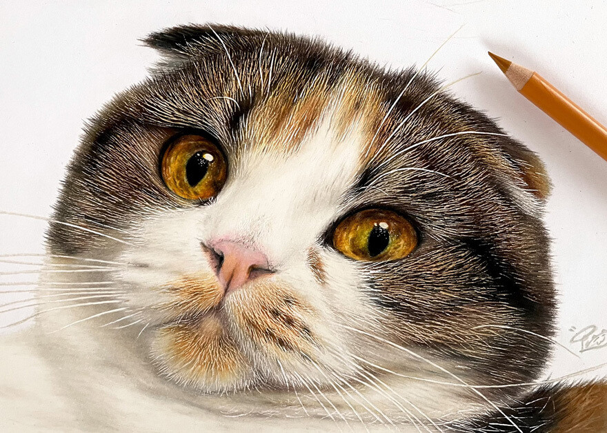 haruki kudo gatos hiperrealismo 5