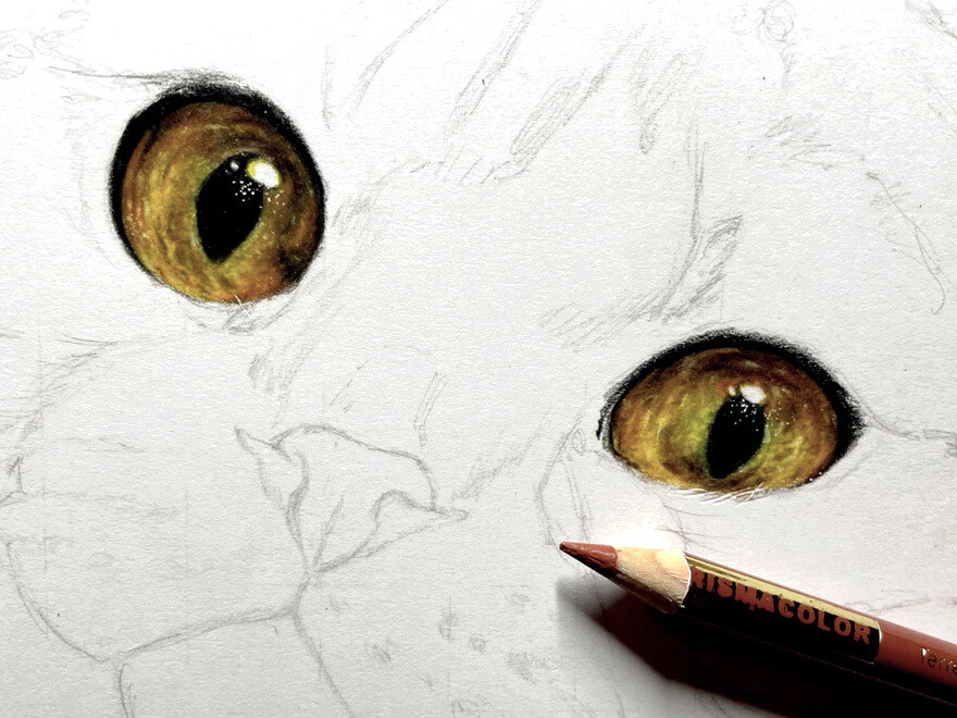 haruki kudo gatos hiperrealismo 6
