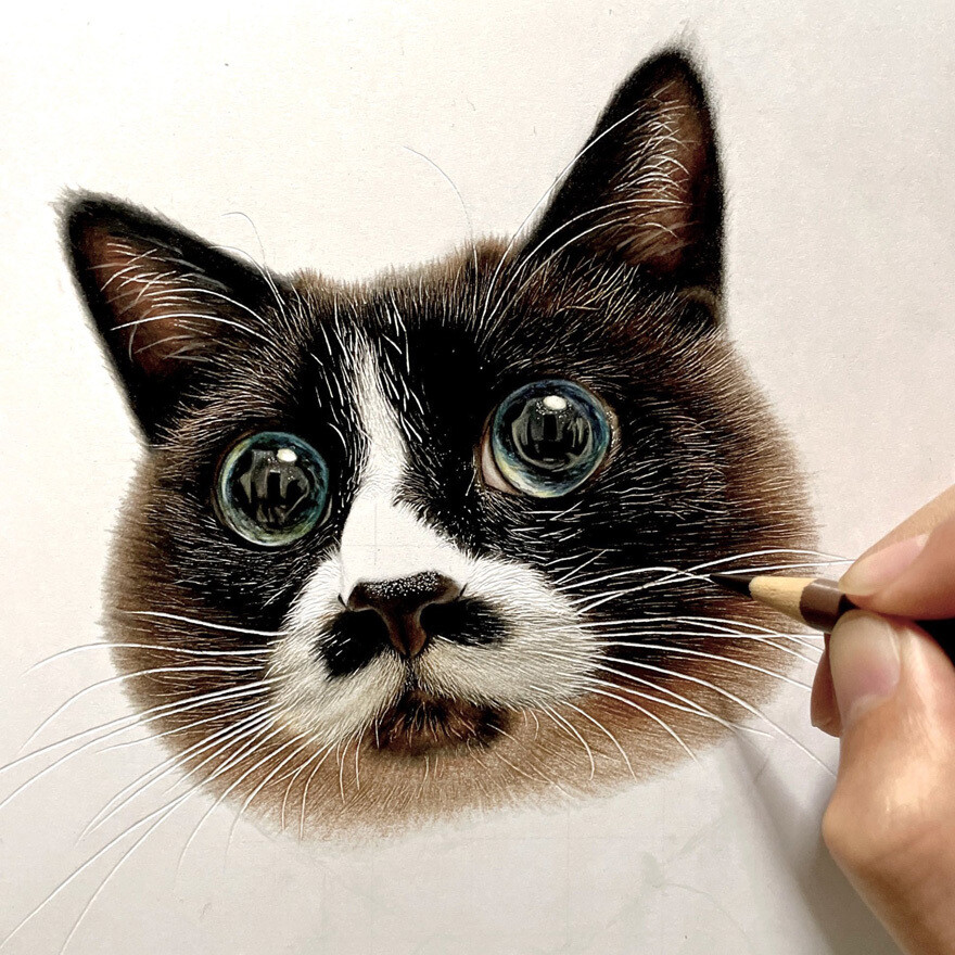 haruki kudo gatos hiperrealismo 9