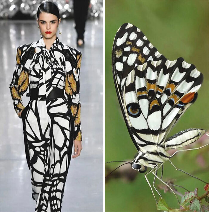 jill sherman fahion biologique instagram moda naturaleza yuxtaposiones fotograficas 11