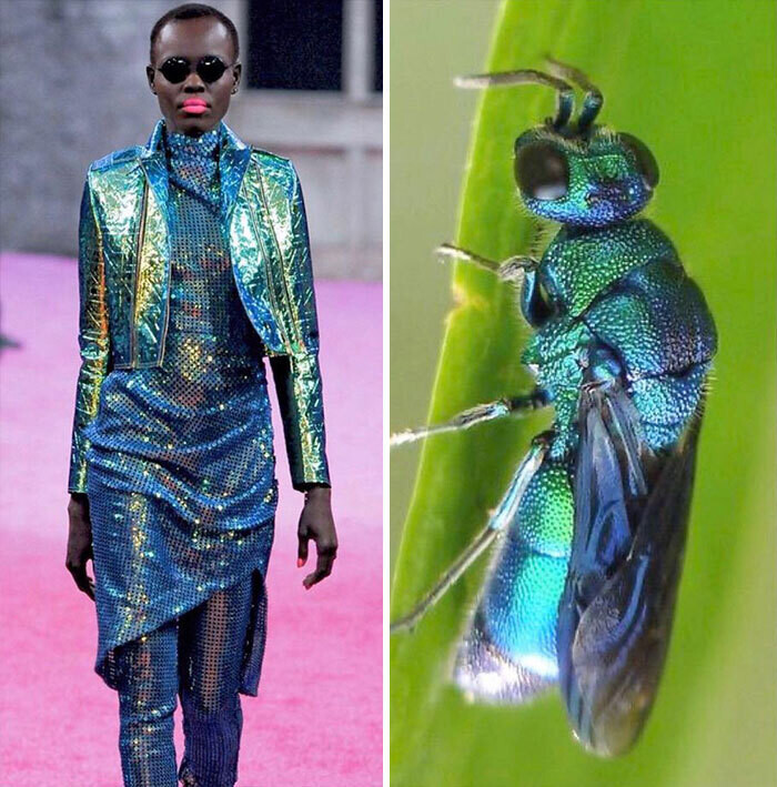 jill sherman fahion biologique instagram moda naturaleza yuxtaposiones fotograficas 12