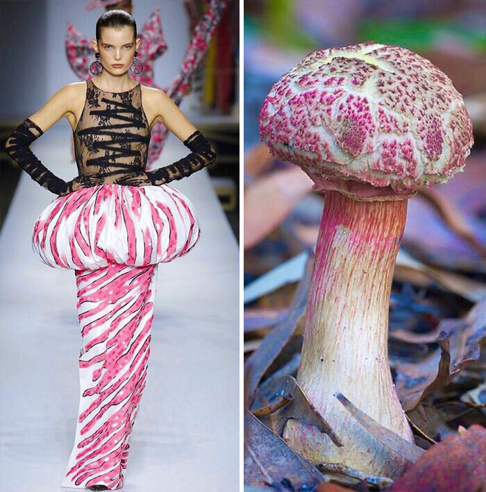 jill sherman fahion biologique instagram moda naturaleza yuxtaposiones fotograficas 14