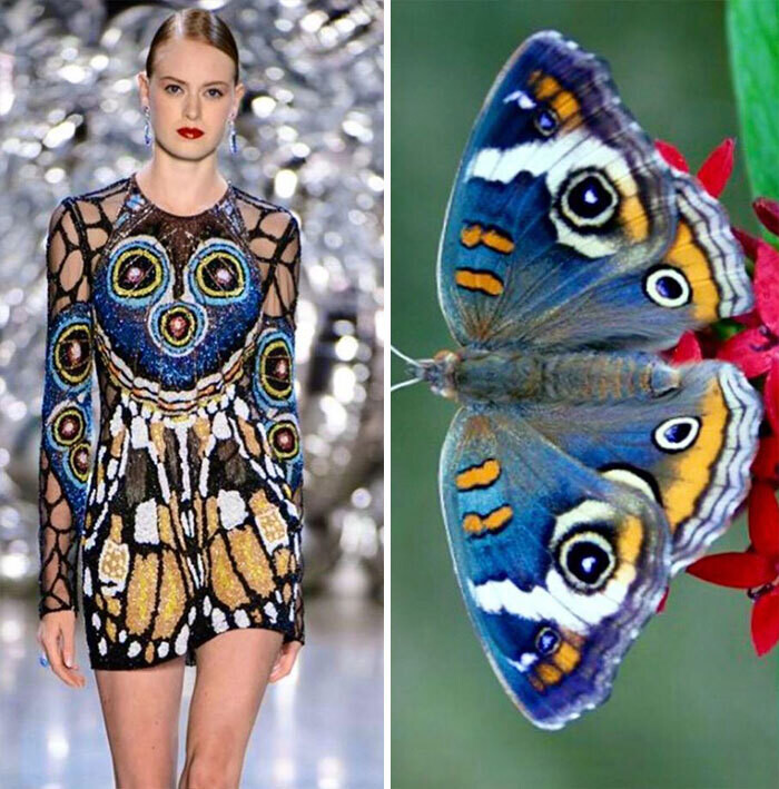 jill sherman fahion biologique instagram moda naturaleza yuxtaposiones fotograficas 16