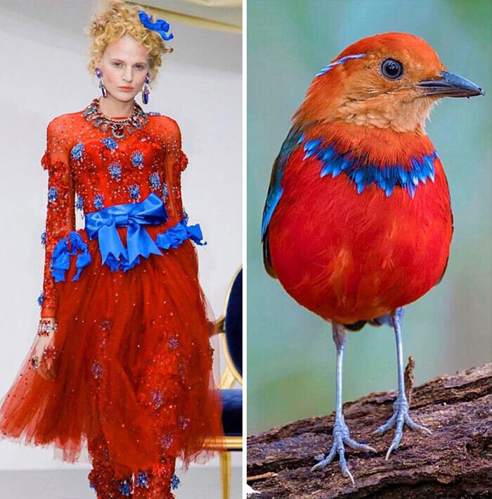 jill sherman fahion biologique instagram moda naturaleza yuxtaposiones fotograficas 3