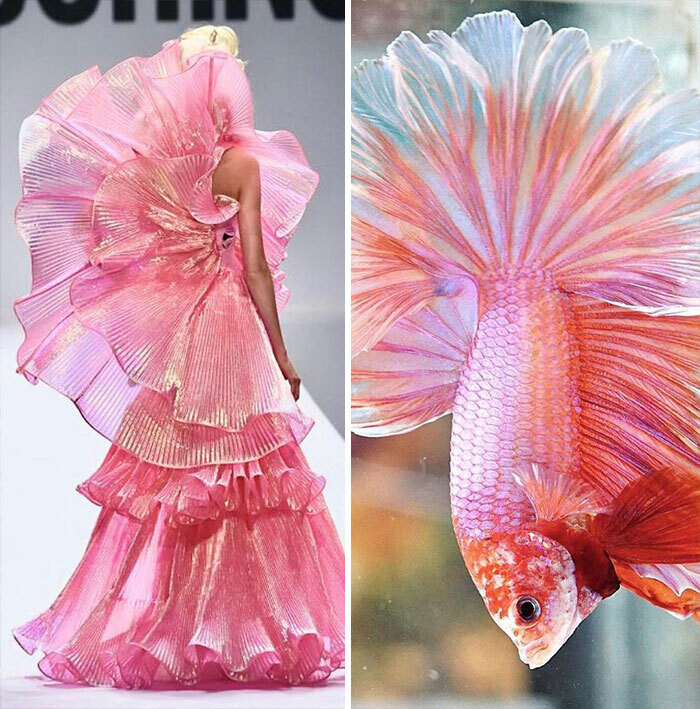 jill sherman fahion biologique instagram moda naturaleza yuxtaposiones fotograficas 4