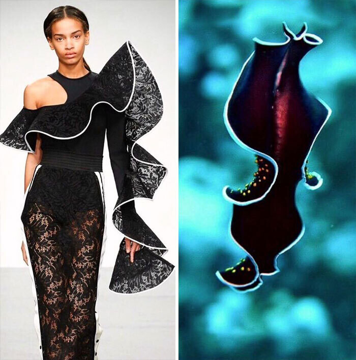jill sherman fahion biologique instagram moda naturaleza yuxtaposiones fotograficas 5