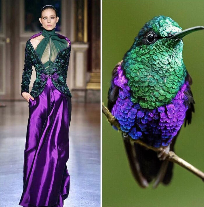 jill sherman fahion biologique instagram moda naturaleza yuxtaposiones fotograficas 6