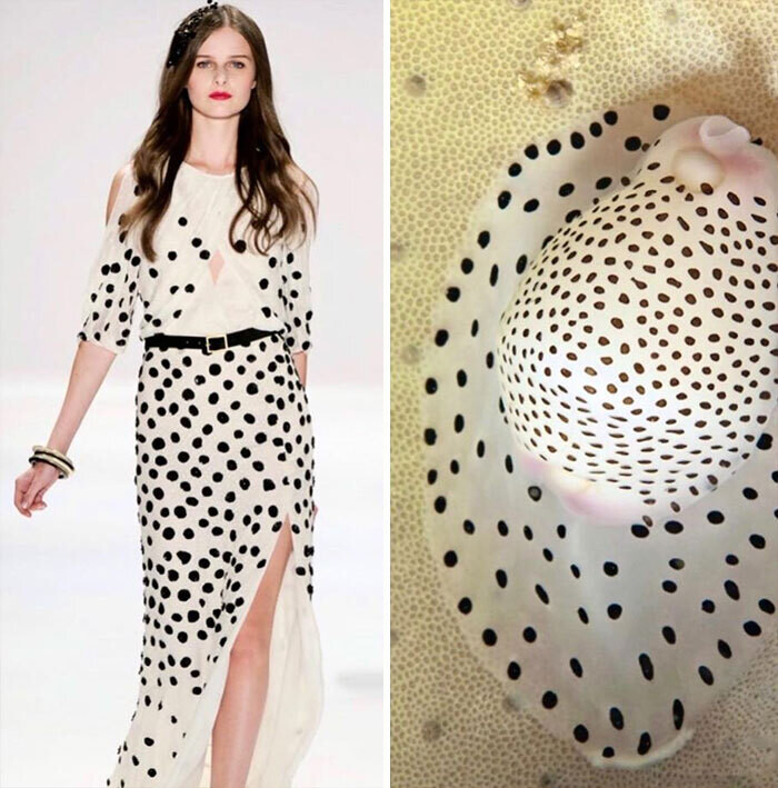 jill sherman fahion biologique instagram moda naturaleza yuxtaposiones fotograficas 7