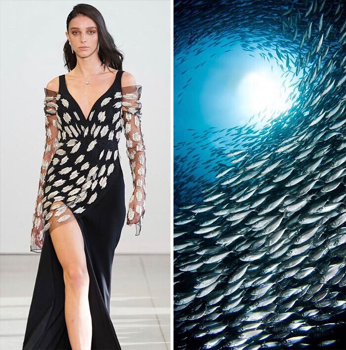 jill sherman fahion biologique instagram moda naturaleza yuxtaposiones fotograficas 9