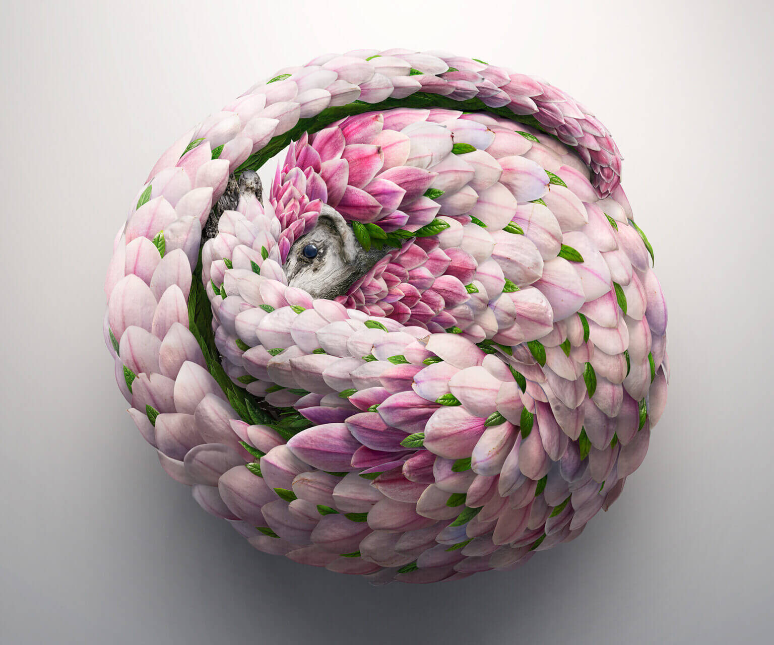 josh dykgraaf 5