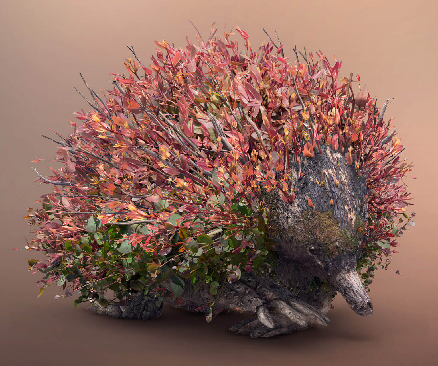josh dykgraaf 6