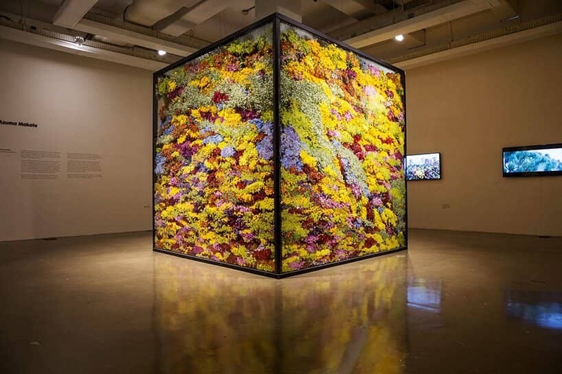 azuma makoto escultura flores 13