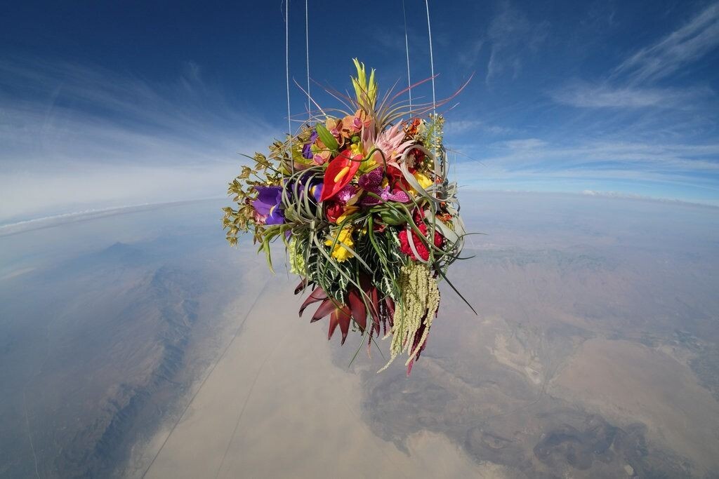 azuma makoto escultura flores 14