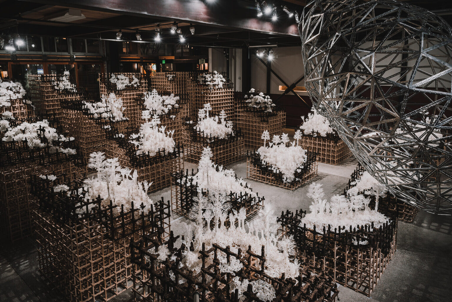 casey curran instalaciones esculturas flores cineticas 1