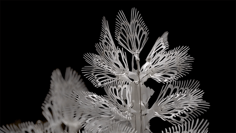 casey curran instalaciones esculturas flores cineticas 1