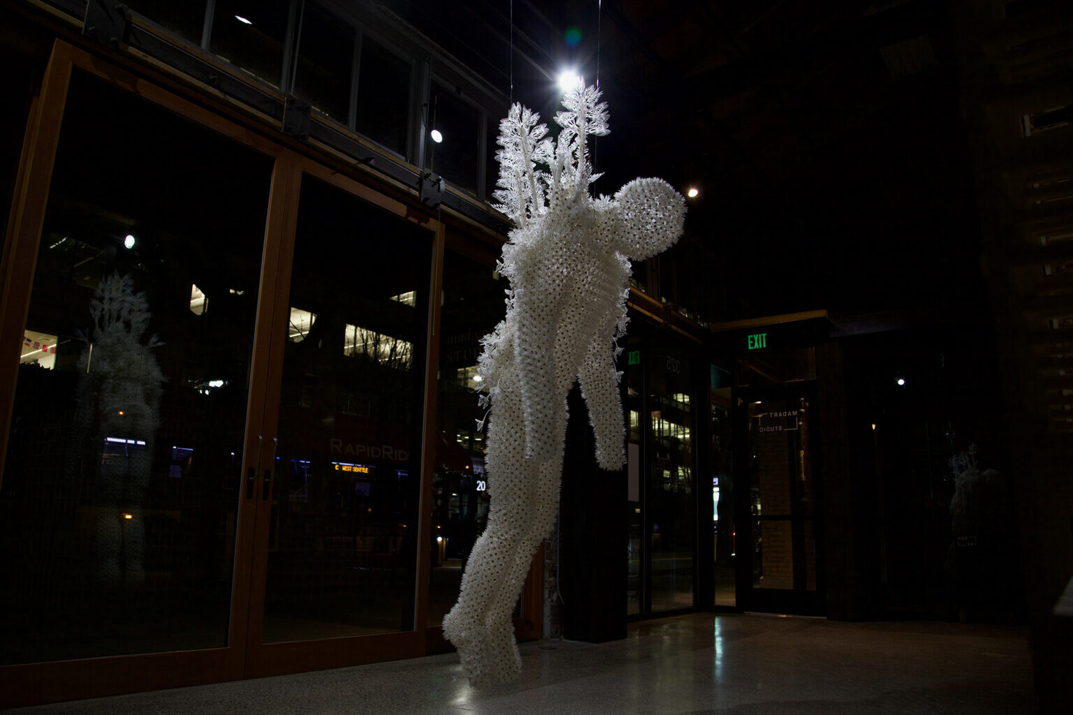 casey curran instalaciones esculturas flores cineticas 2