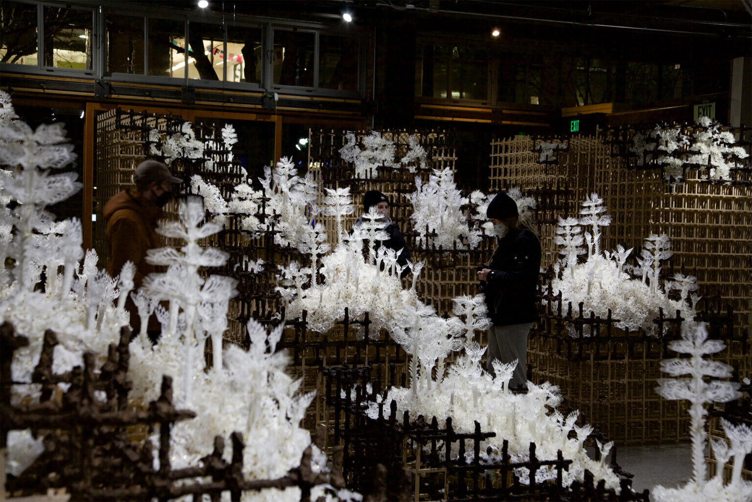 casey curran instalaciones esculturas flores cineticas 7