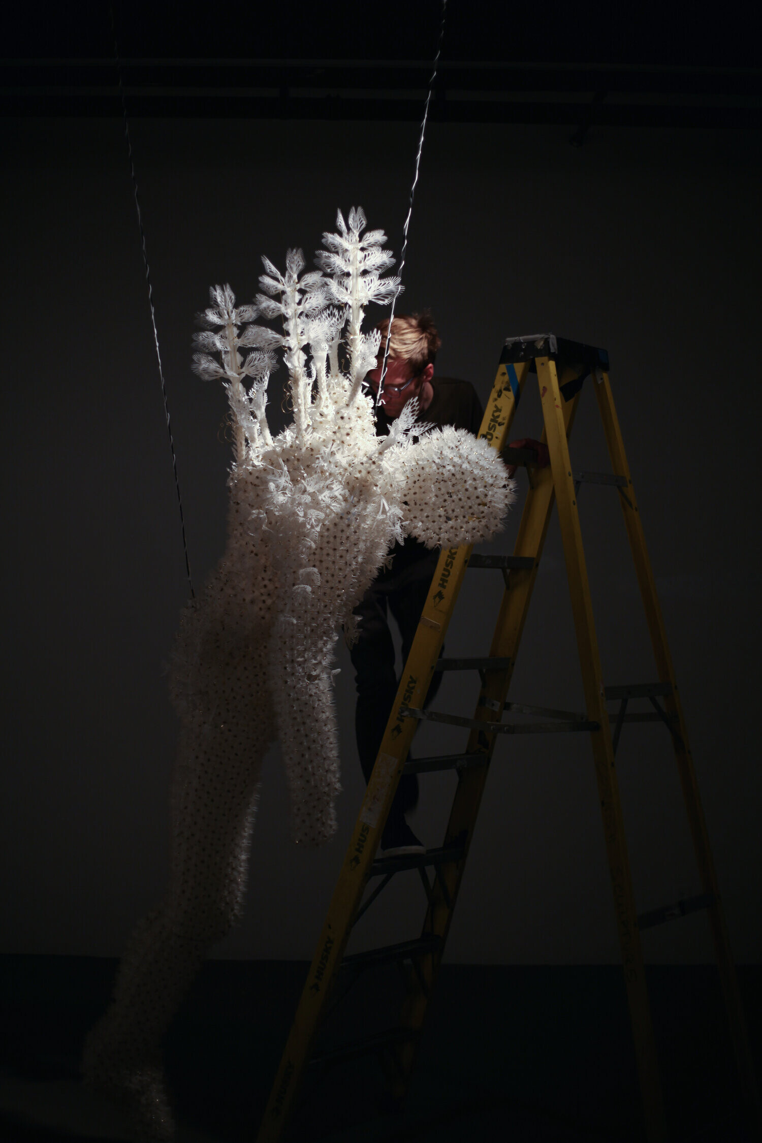 casey curran instalaciones esculturas flores cineticas 8