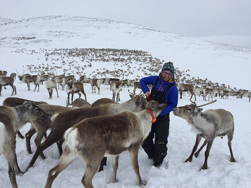 ciclón de renos 1
