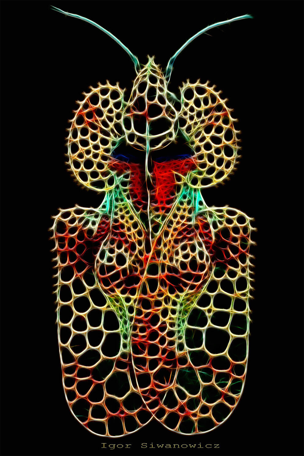 igor siwanowicz microscopio biologia fotografia ciencia 11